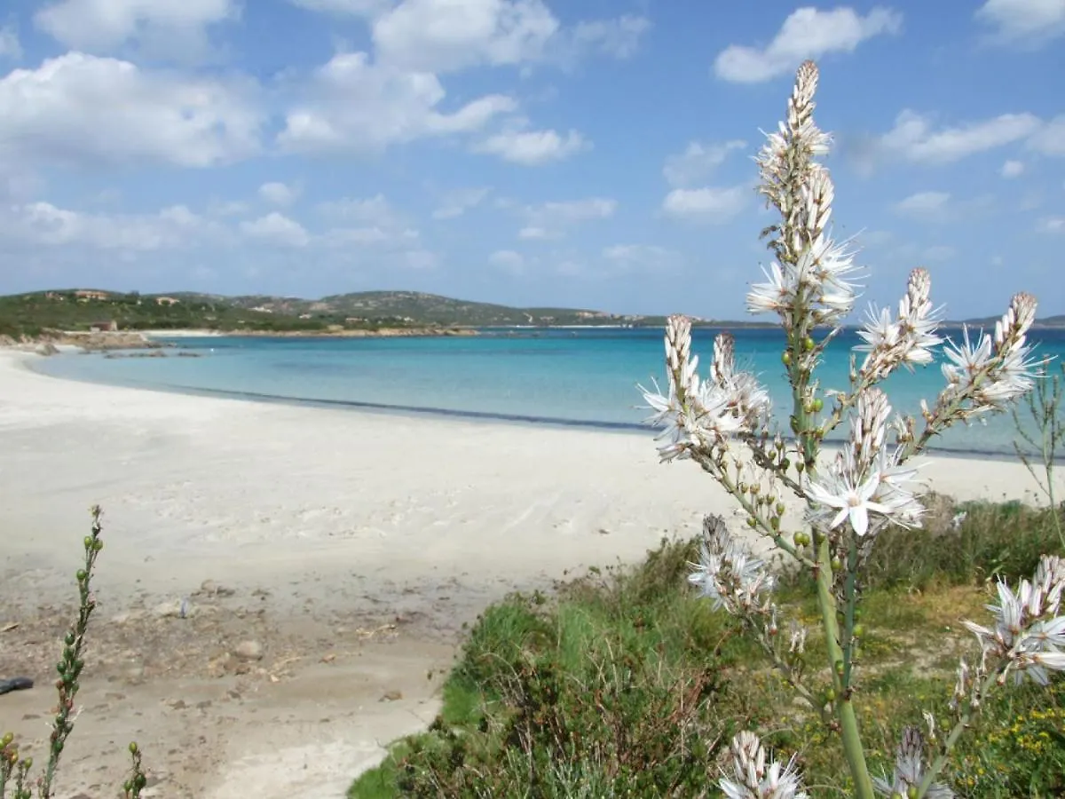 Appartamento Locazione Turistica Vista Playa 3 - GOA603 Golfo Aranci 0*,  Italia